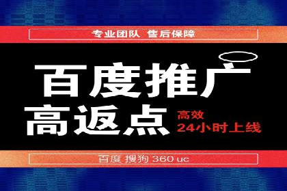 知名SEM运营公司实战案例解析